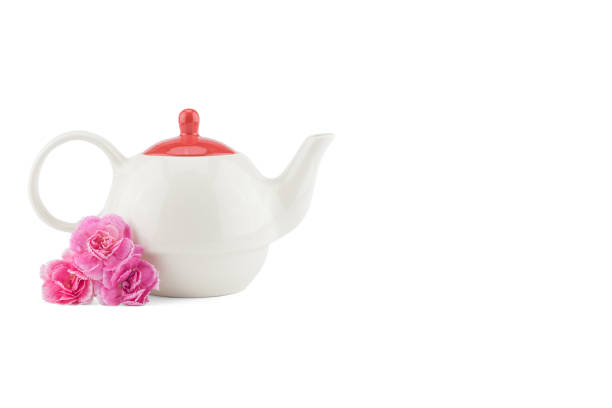 Teapot and pink carnation flower isolated on white background with copy space