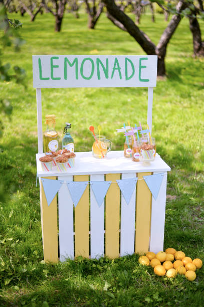 istock Holiday in a garden. Lemonade day. 880880608