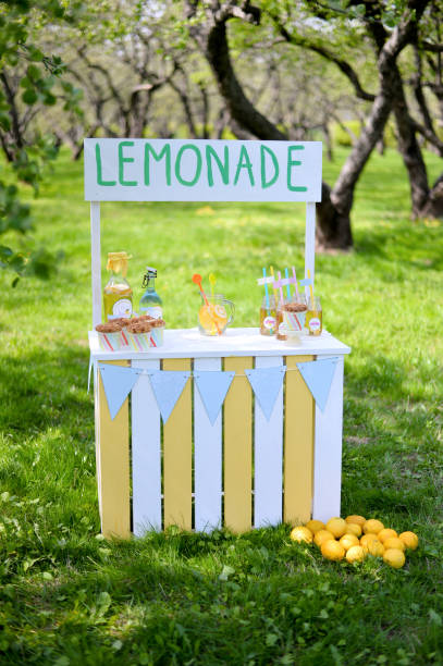 istock Holiday in a garden. Lemonade day. 880880610