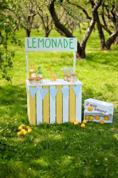 istock Holiday in a garden. Lemonade day. 880880674