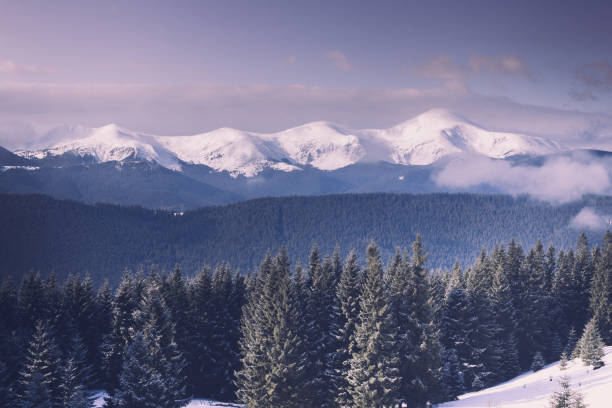 istock Foggy winter landscape in the mountains. 880891230