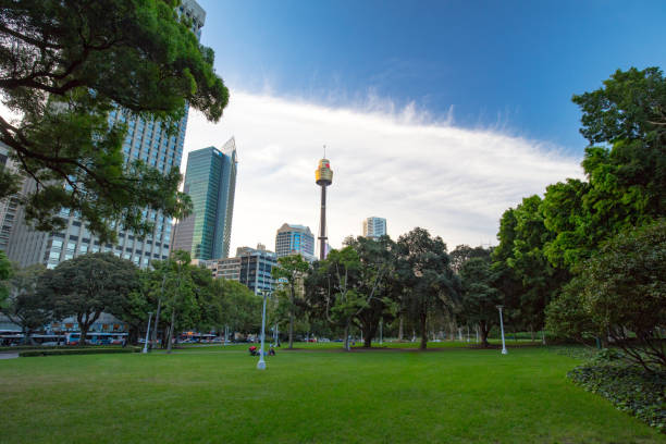 View Over Hyde Park Sydney Sydney, Australia - 7 March: A view over Hyde Park towards Sydney CBD on 7th March 2017. hyde park sydney stock pictures, royalty-free photos & images