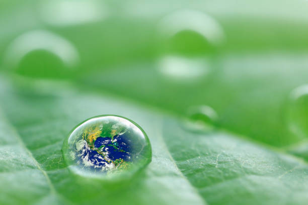 istock leaf with rain droplets - Recovery earth concept 880891912