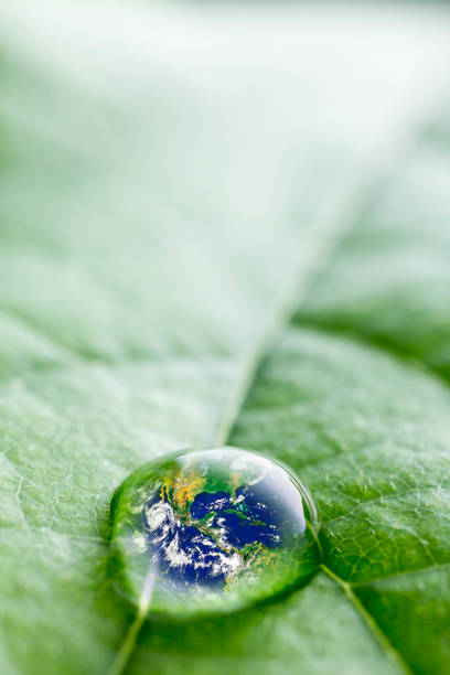 istock leaf with rain droplets - Recovery earth concept 880891958
