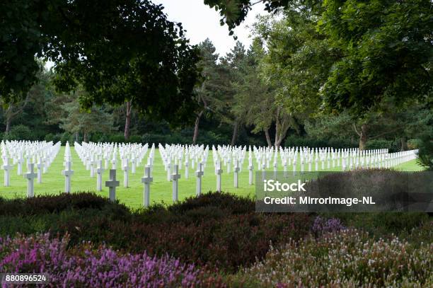 Rows Of White Crosses At The American Cemetery At Omaha Beach Stock Photo - Download Image Now