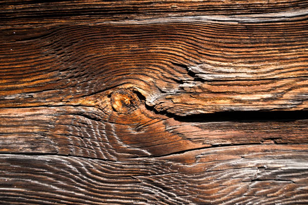 texture of dark wood. natural background. empty template