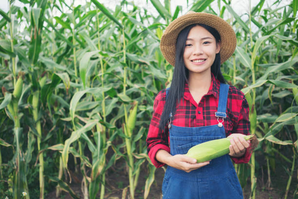 istock Happy farmer in the corn field 880920762