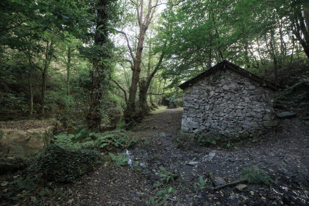 istock Landscape of abandoned water mill 880923610