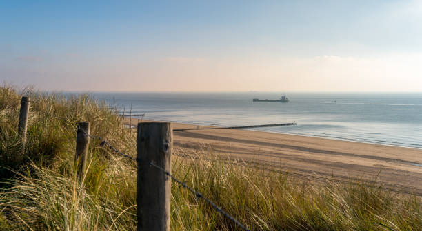 istock Beach with dunes at daytime. View over the North Sea 880927238