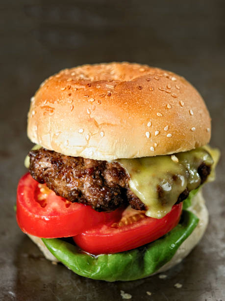 rustic american hamburger