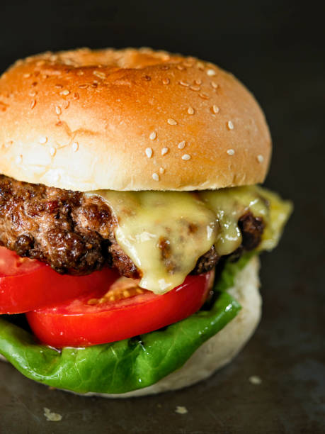 rustic american hamburger