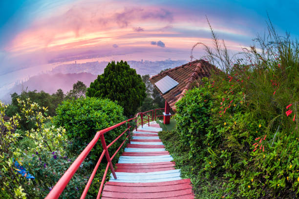 istock George Town City view from Penang Hill during dawn 880930628