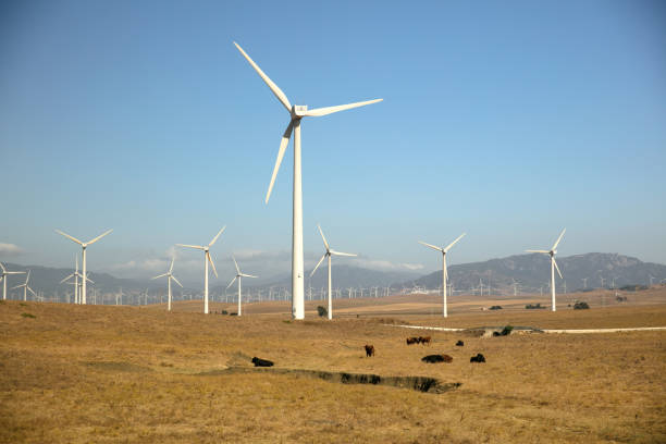 istock Windmills in Tarifa, Andalusia, Spain. Holiday vacation background. 880933308