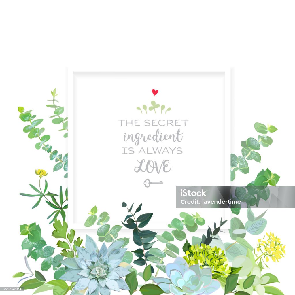 Herbal mix square vector frame box Herbal mix square vector frame box. Hand painted plants, branches, leaves, succulents and flowers on white background. Echeveria, eucalyptus,green hygrangea, brunia.Natural card.Isolated and editable. Flower stock vector
