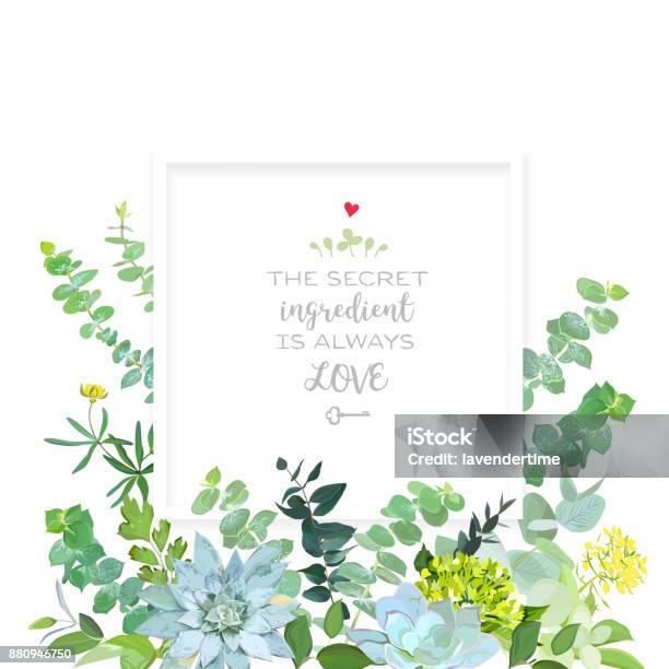 Herbal Mix Square Vector Frame Box Stock Illustration - Download Image Now - Flower, Invitation, Border - Frame