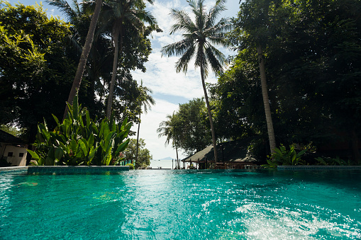 Swimming pool and palm trees at Railay Beach, Krabi Thailand
