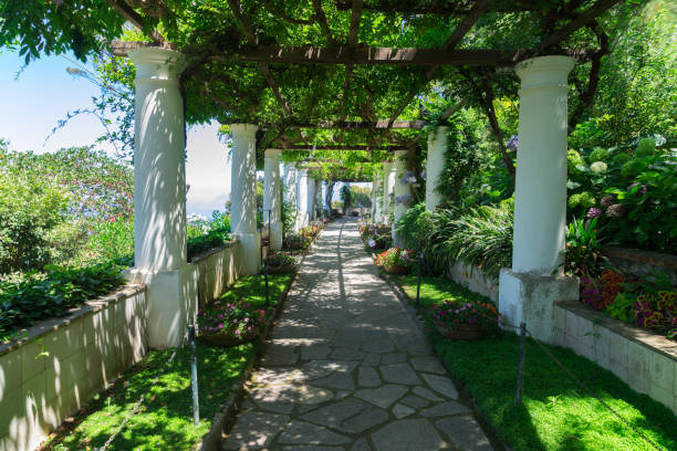 istock Capri island, Italy 880959474