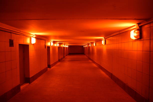 istock Underground crossing over the road 880976282