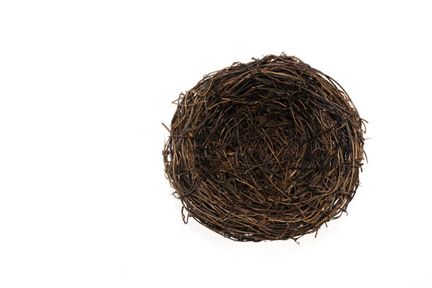 istock The large artificial bird nest on white background 880976958
