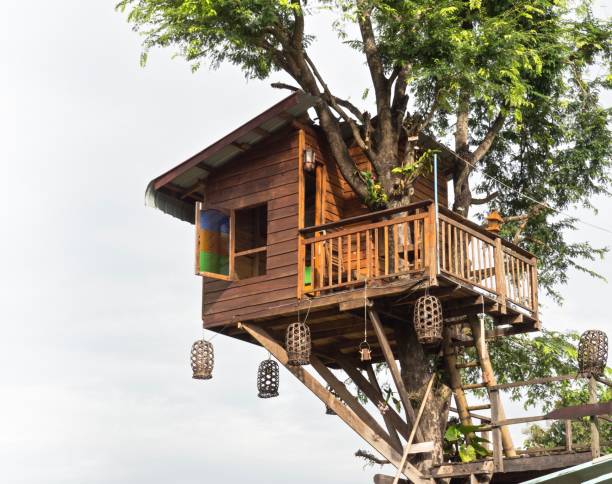 little tree house in nordthailand - baumhaus stock-fotos und bilder