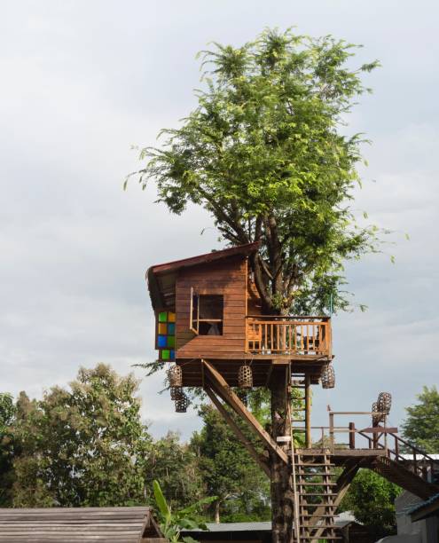 istock Little Tree House In Northern Thailand 880981506