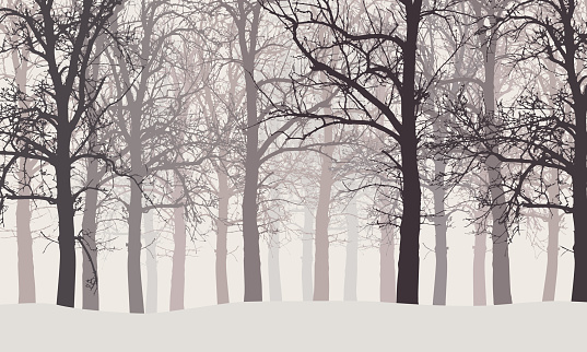 Vector illustration of a winter forest without leaves with snow and hazy backgrounds