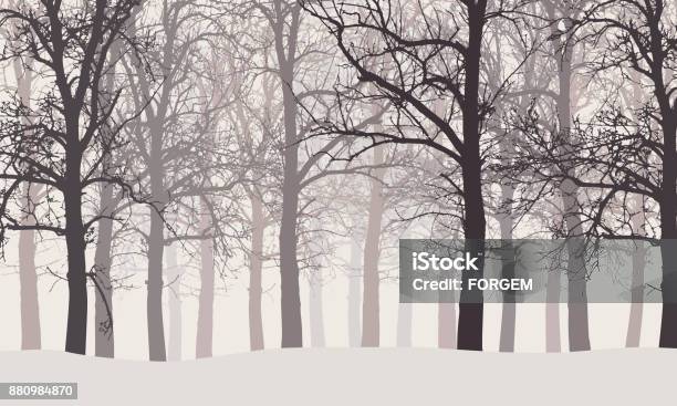 Vector Illustration Of A Winter Forest Without Leaves With Snow And Hazy Backgrounds Stock Illustration - Download Image Now