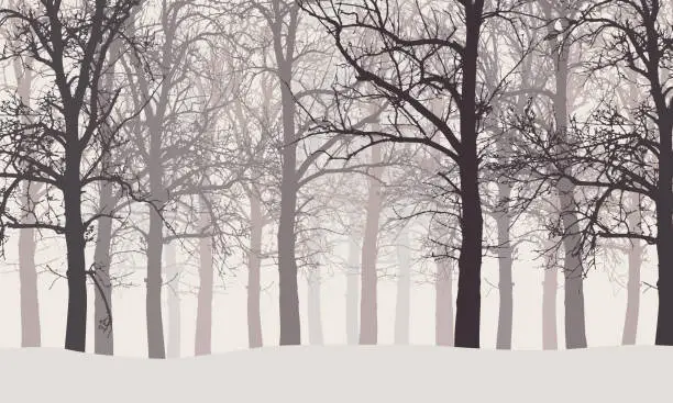 Vector illustration of Vector illustration of a winter forest without leaves with snow and hazy backgrounds