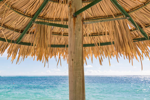istock A Parasol in the Sunshine 881002304