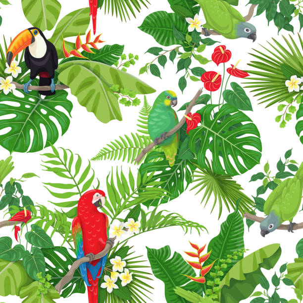 Tropical Birds and Flowers Pattern Seamless pattern made with tropical birds, leaves and flowers on white background. Colorful parrots and toucan sitting on branches. Tropic rainforest foliage texture.  Vector flat illustration. green parakeet stock illustrations
