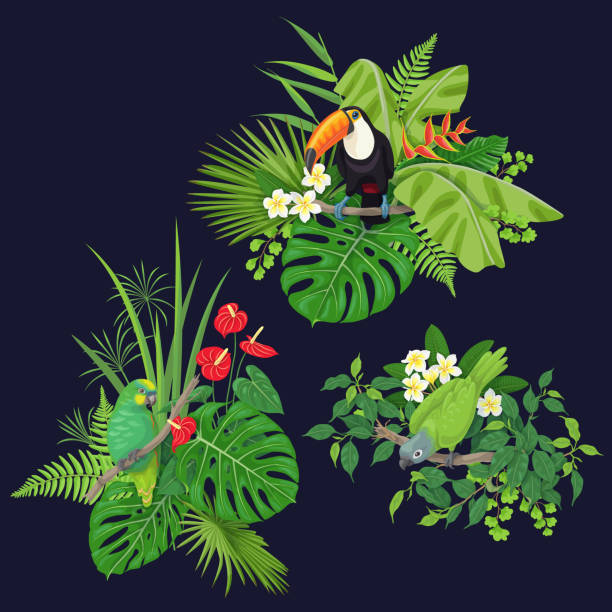Green Parrot and Toucan on Tree Branch Green parrots and toucan sitting on tree branch.  Leaves and flowers of tropical plants and birds isolated on dark background.Vector flat illustration. amazonia stock illustrations