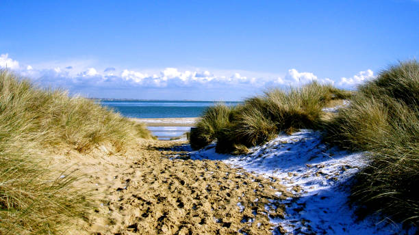 studland beach in winter - bournemouth imagens e fotografias de stock