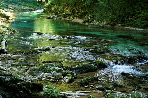 istock Pure and fresh Radovna river in Podhom 881009344
