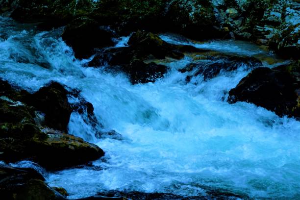 istock Radovna river rapids and dark rocks in the Vintgar Gorge 881013620