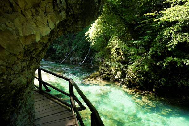 istock Turquoise Radovna river with wooden path, trees and rock 881016156