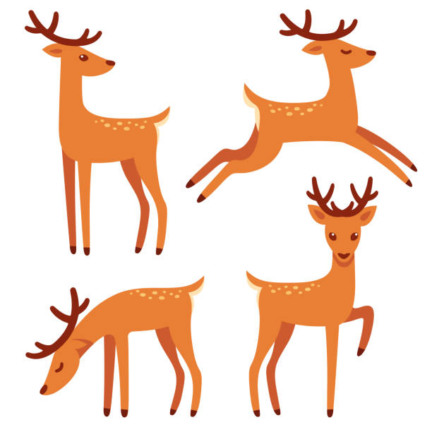 Cartoon deer set Cute deer with antlers, vector illustration set. Standing, jumping and grazing. Cartoon style drawing. reindeer stock illustrations