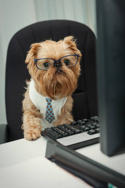 istock Serious dog in glasses 881019172