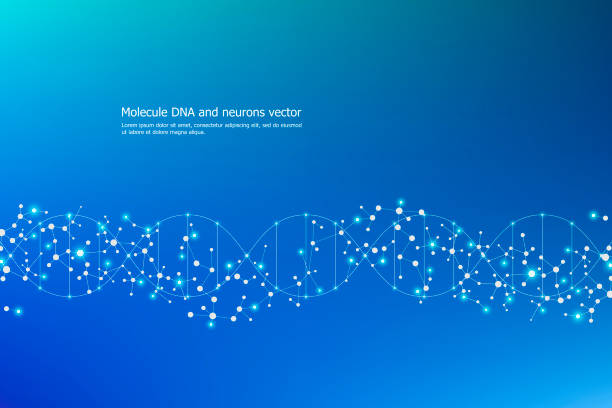 추상 분자 배경, 유전과 화학 화합물, 도트와 연결 된 선을, 의료, 기술, 과학 개념, 벡터 일러스트 레이 션 - 나선구조 stock illustrations