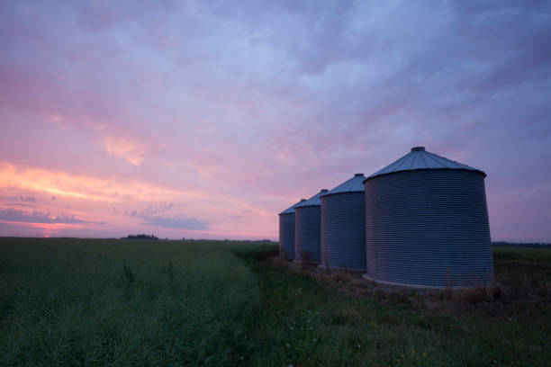 silosy zbożowe w preriach - manitoba prairie landscape canada zdjęcia i obrazy z banku zdjęć