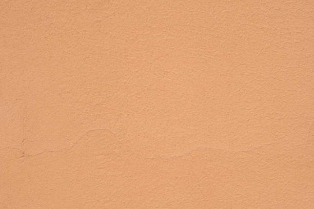 Background of the beige cement wall is plaster rough style.