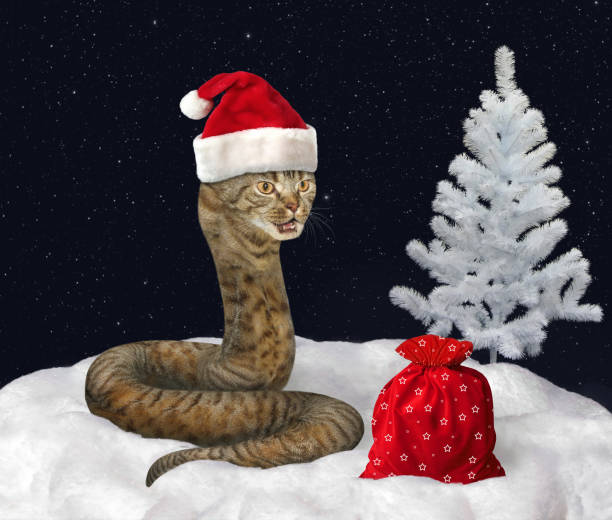 猫蛇と新年 - santa claus gift snow sack ストックフォトと画像