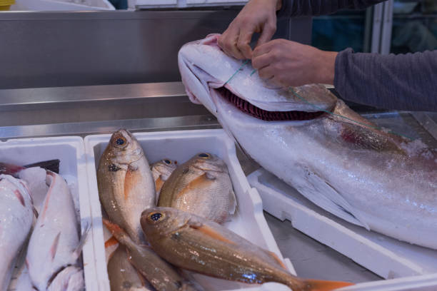 istock Fishery, Fresh Italian Fish. Blue fish. 881040734
