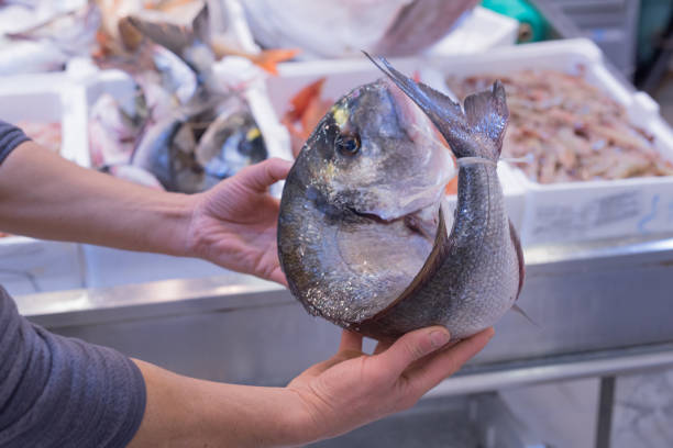istock Fishery, Fresh Italian Fish. Blue fish. 881048238