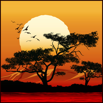 Stylized vector illustration of tree on sunset background