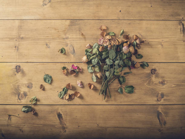 istock Dead flowers on the floor 881060258