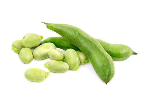 枝豆は、白い背景で隔離。 - soybean bean edamame pod ストックフォトと画像