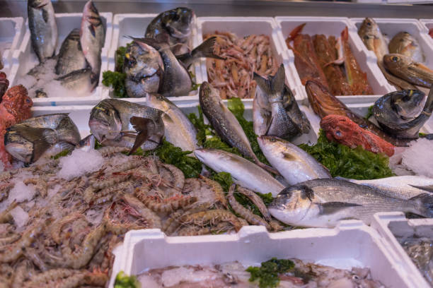 istock Fishery, Fresh Italian Fish. Blue fish. 881064344