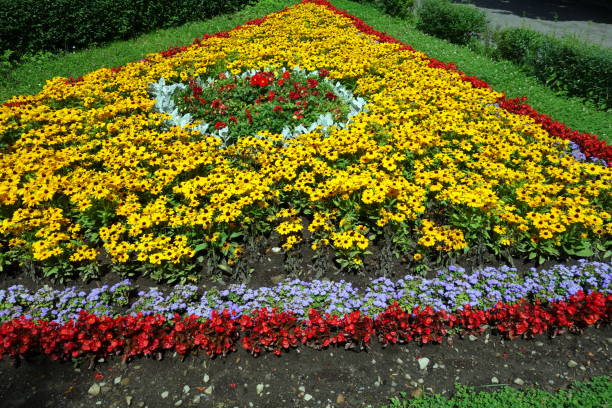 istock Colourful flowers in garden 881066196