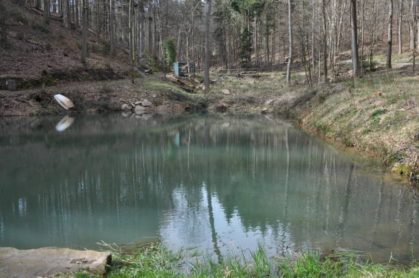 istock Pond at Brunnthal, Michelstadt, Germany 881067604
