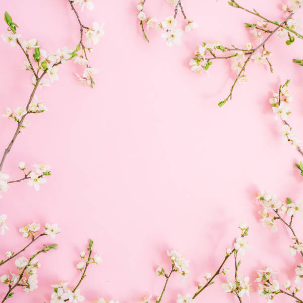 istock Round frame of spring white flowers isolated on pink background. Flat lay, top view. Spring time background. 881070638